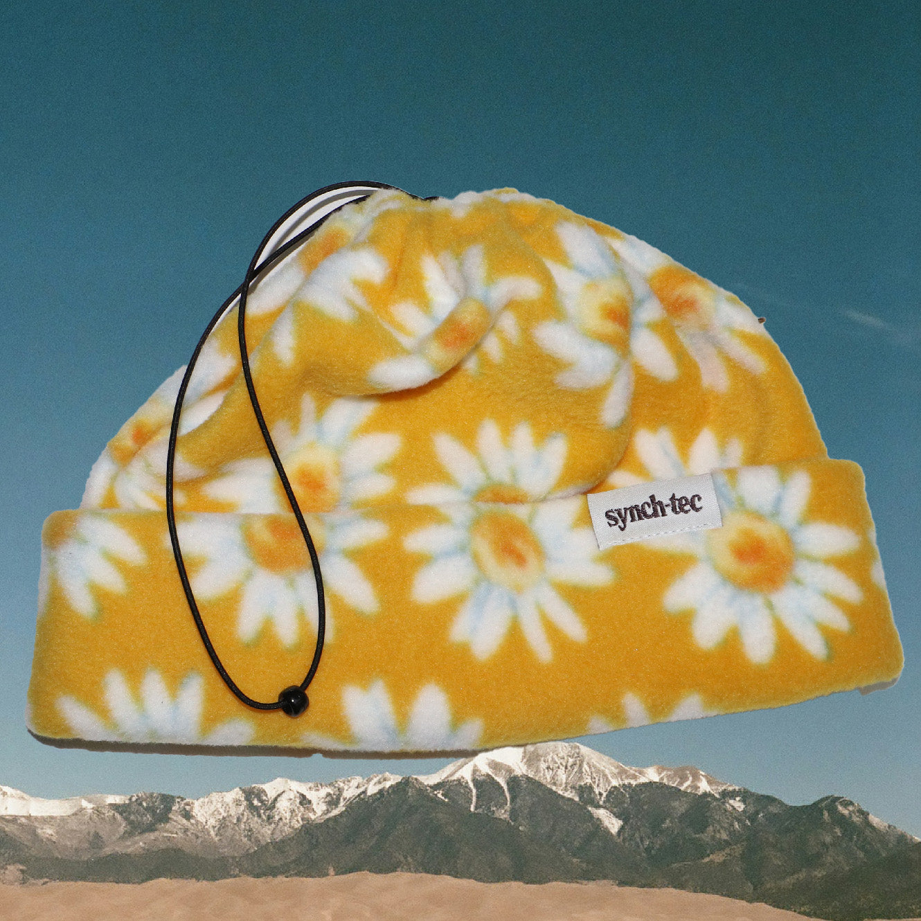 Daisies